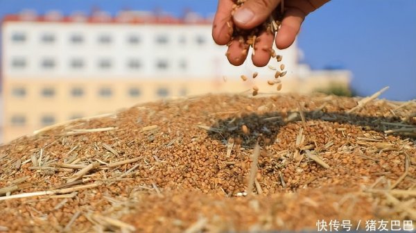 盈禾配资 油价180°大拐弯！5月1日：调价后92,95号汽油价格，麦价窄幅上涨