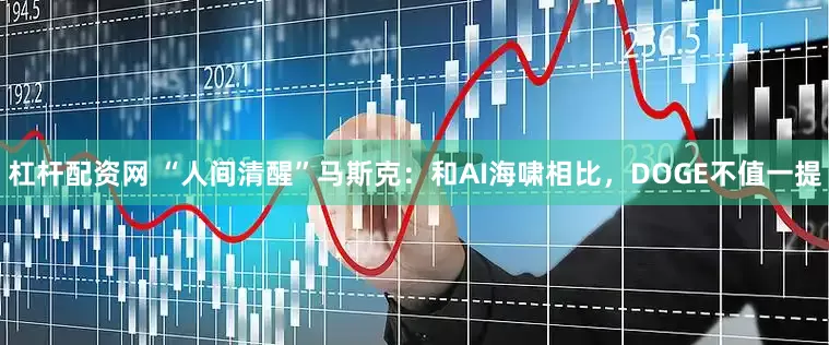 杠杆配资网 “人间清醒”马斯克：和AI海啸相比，DOGE不值一提