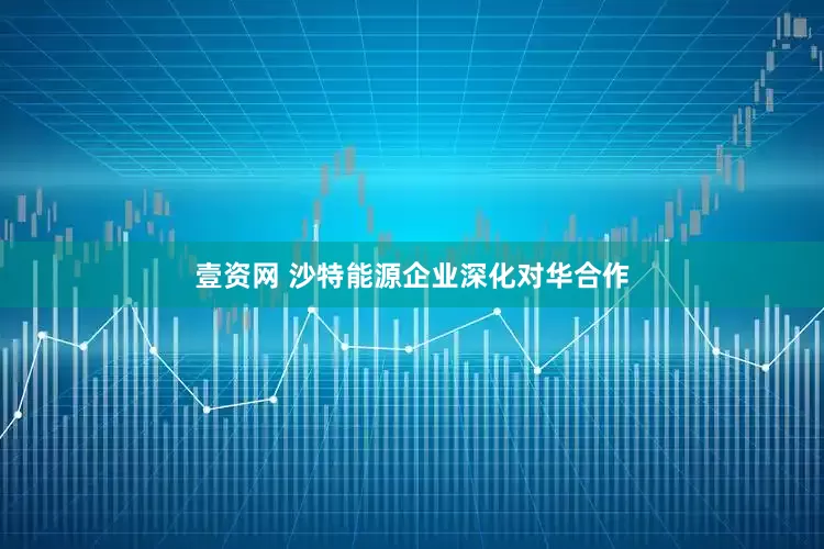 壹资网 沙特能源企业深化对华合作